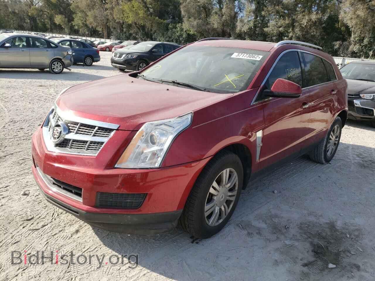 2011 CADILLAC SRX - VIN: 3GYFNAEY3BS618337 - Фото 2