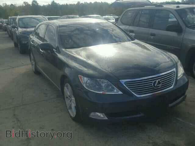 Фотография JTHGL46F685028830 - LEXUS LS460 2008