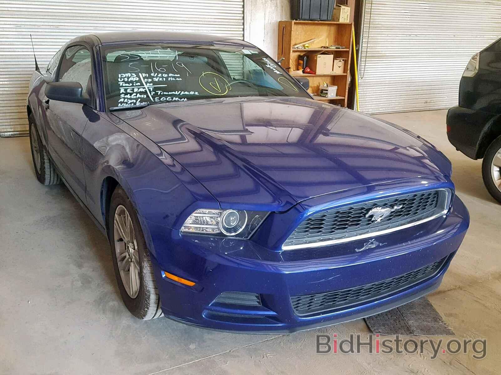 Photo 1ZVBP8AM3E5282274 - FORD MUSTANG 2014