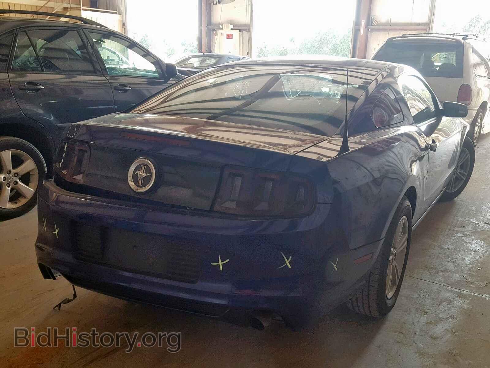 2014 FORD MUSTANG - VIN: 1ZVBP8AM3E5282274 - Фото 4