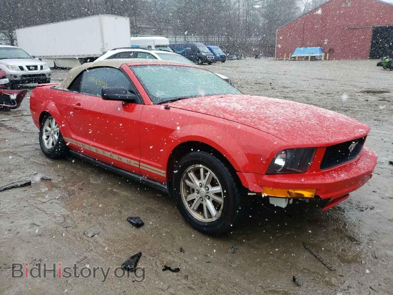 2007 FORD MUSTANG - VIN: 1ZVHT84N775305343 - Фото 4