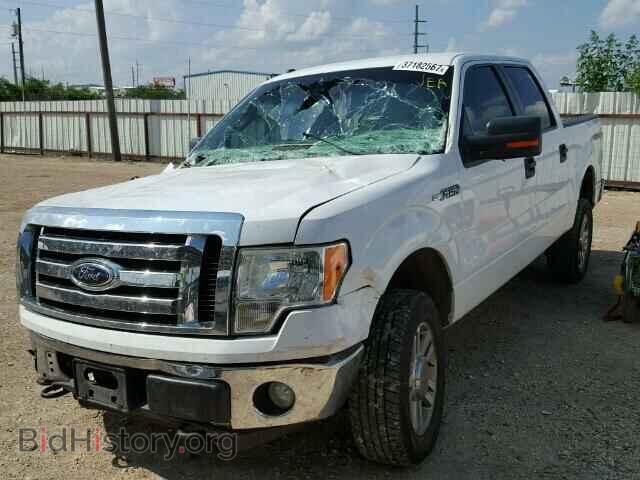 2009 FORD F150 - VIN: 1FTRW14879FA99938 - Фото 2