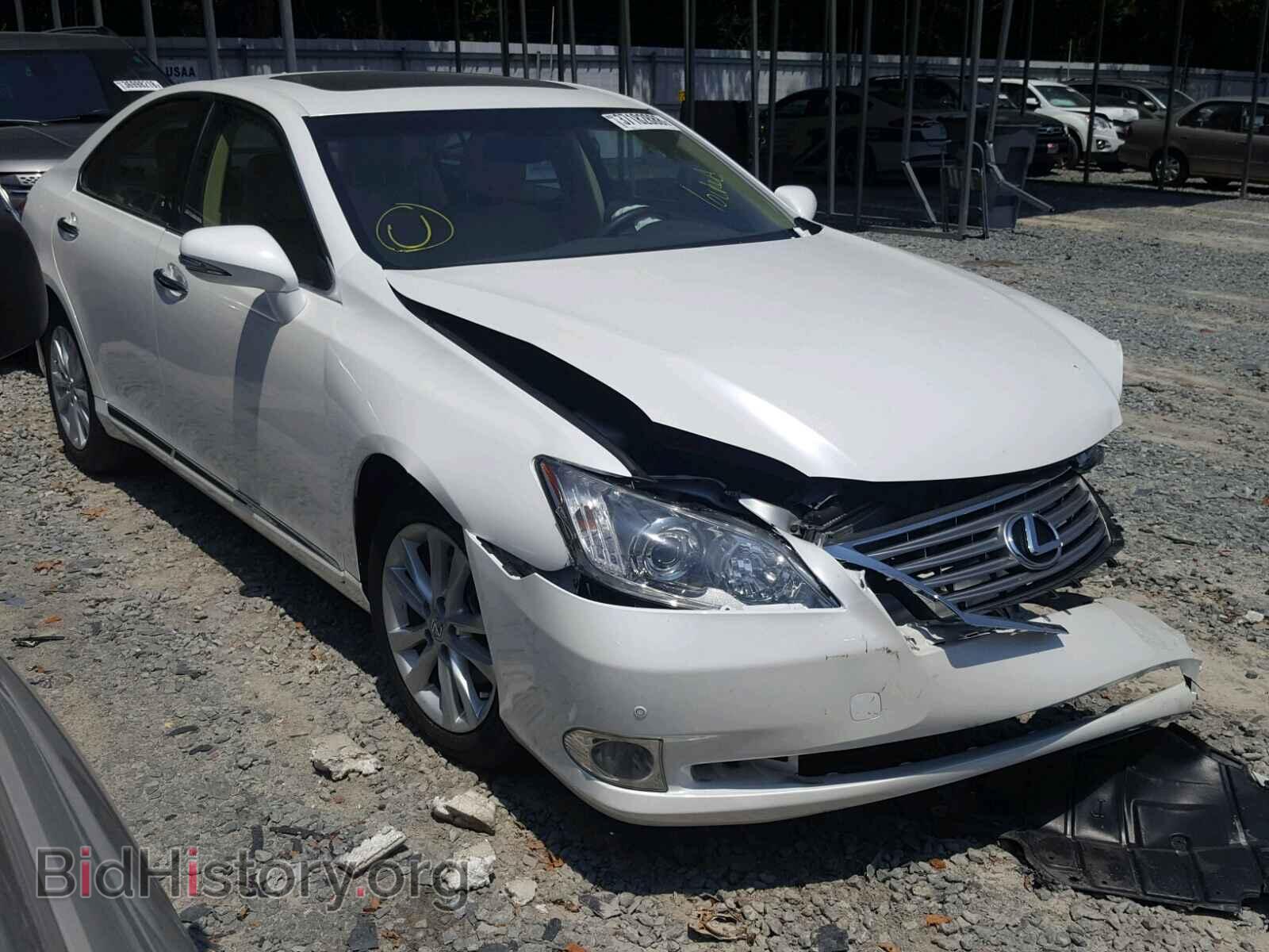 Фотография JTHBK1EG1C2484329 - LEXUS ES350 2012