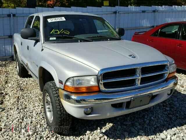 Photo 1B7GG2AN9YS765899 - DODGE DAKOTA 2000