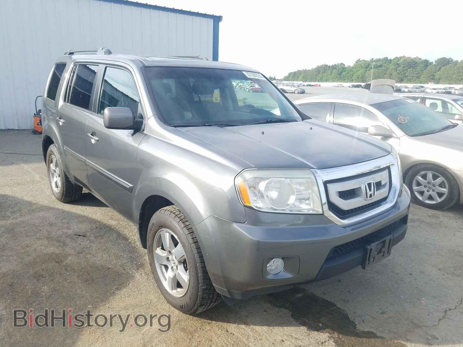 Фотография 5FNYF4H57BB008206 - HONDA PILOT 2011