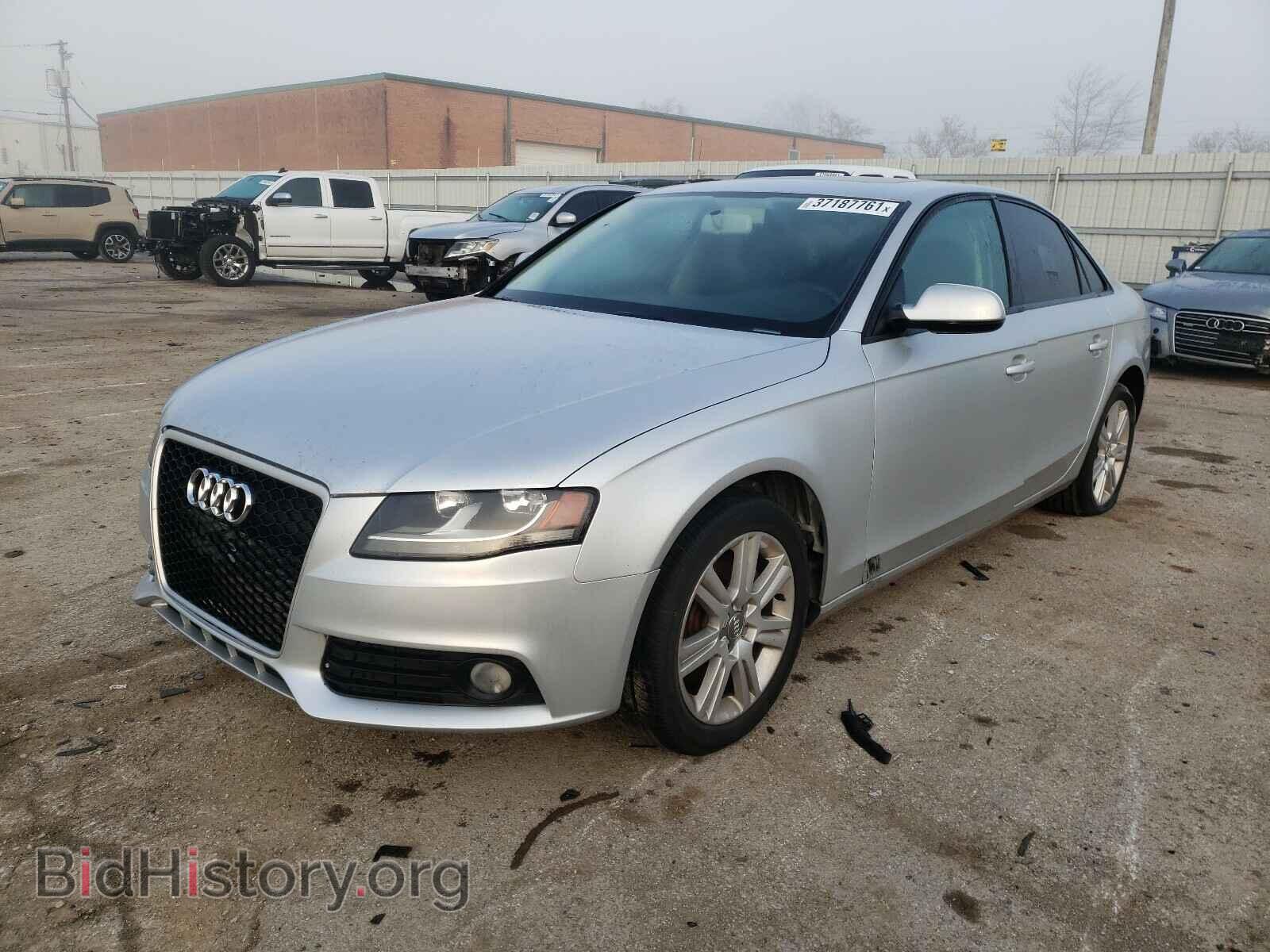 2010 AUDI A4 - VIN: WAUBFAFL3AN013664 - Фото 2