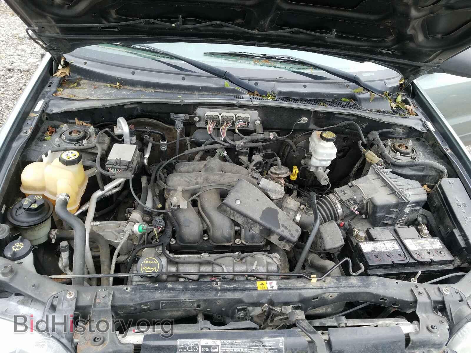 2007 FORD ESCAPE - VIN: 1FMYU03177KB59359 - Фото 7