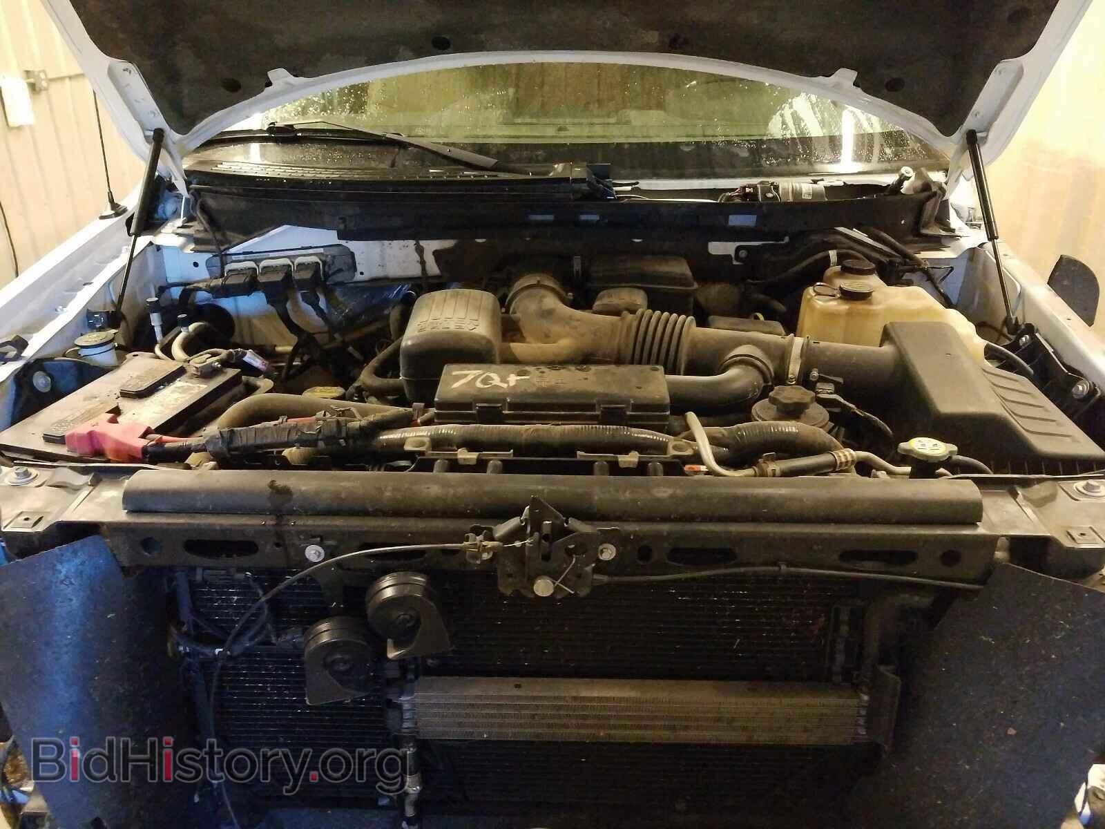 2010 FORD F150 - VIN: 1FTFW1EV2AFD33558 - Фото 7