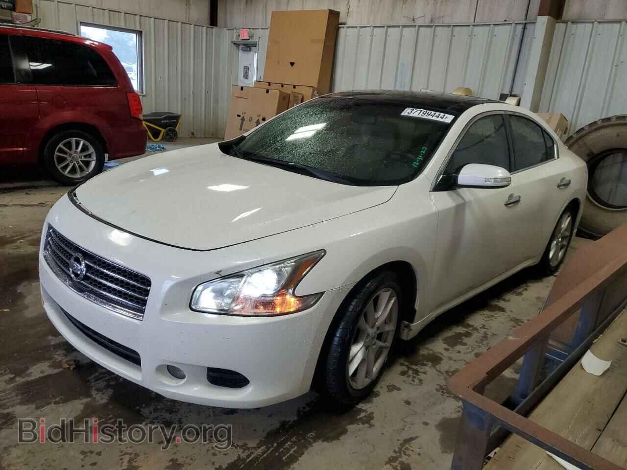 Фотография 1N4AA5AP4BC862963 - NISSAN MAXIMA 2011