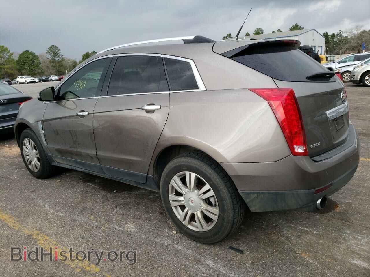 2011 CADILLAC SRX - VIN: 3GYFNAEY8BS673219 - Фото 2