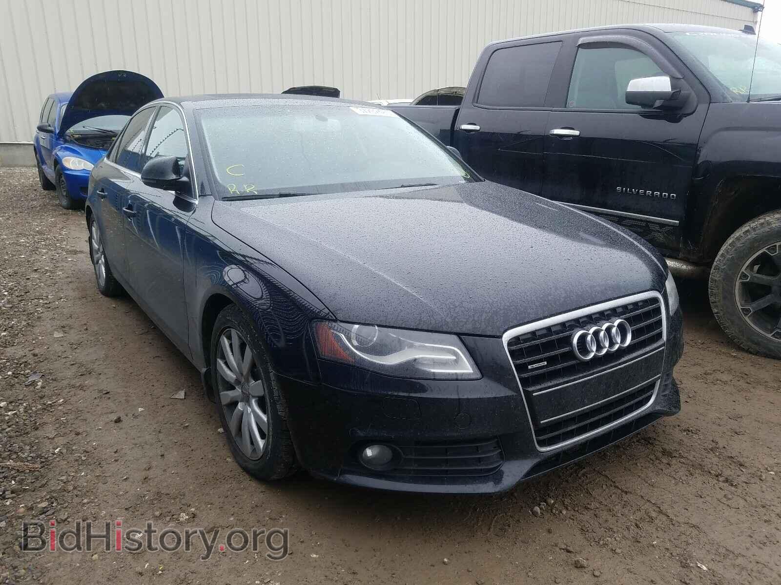 Фотография WAULK68K19N056932 - AUDI A4 2009