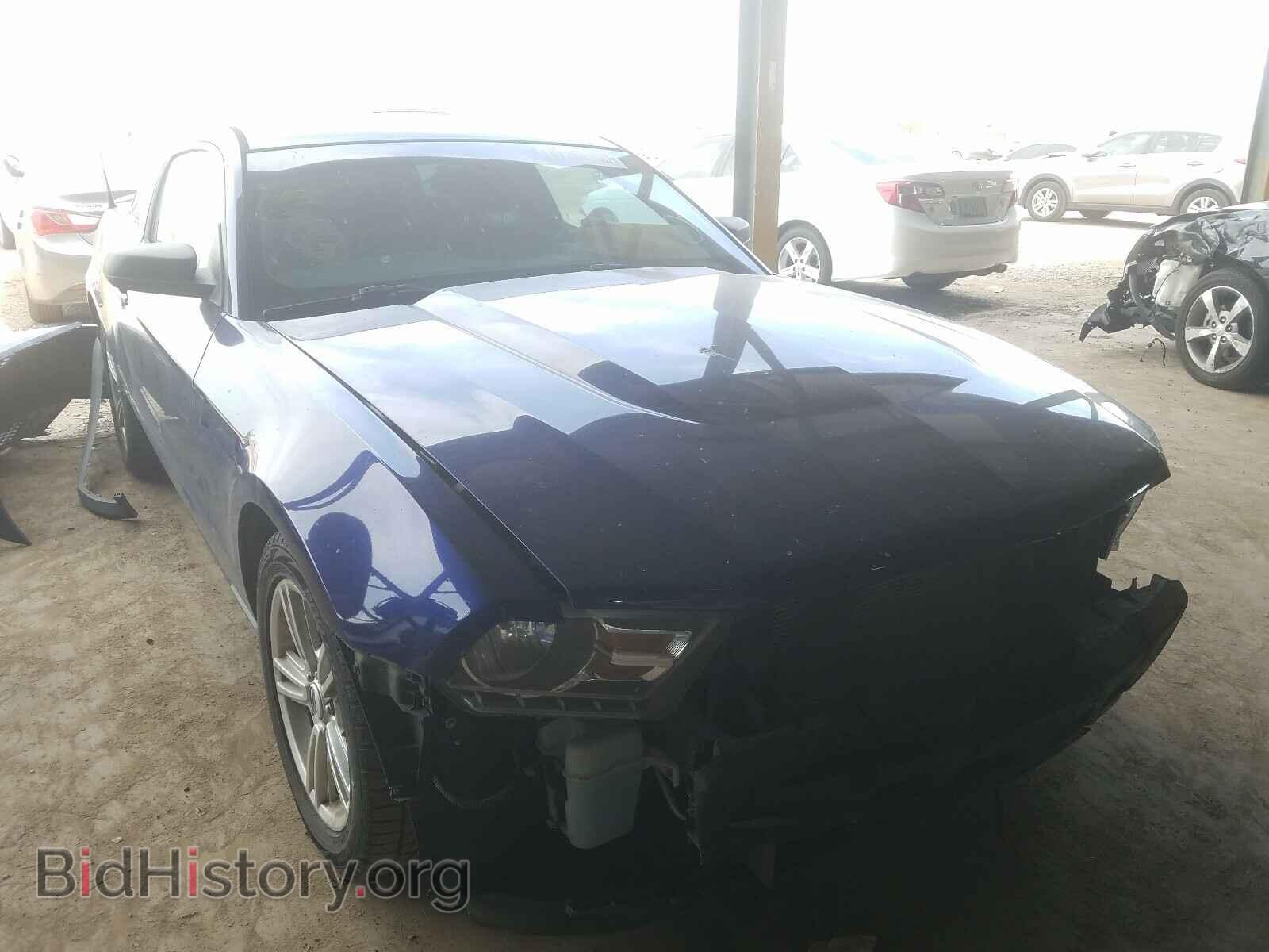 Фотография 1ZVBP8AM7C5251722 - FORD MUSTANG 2012