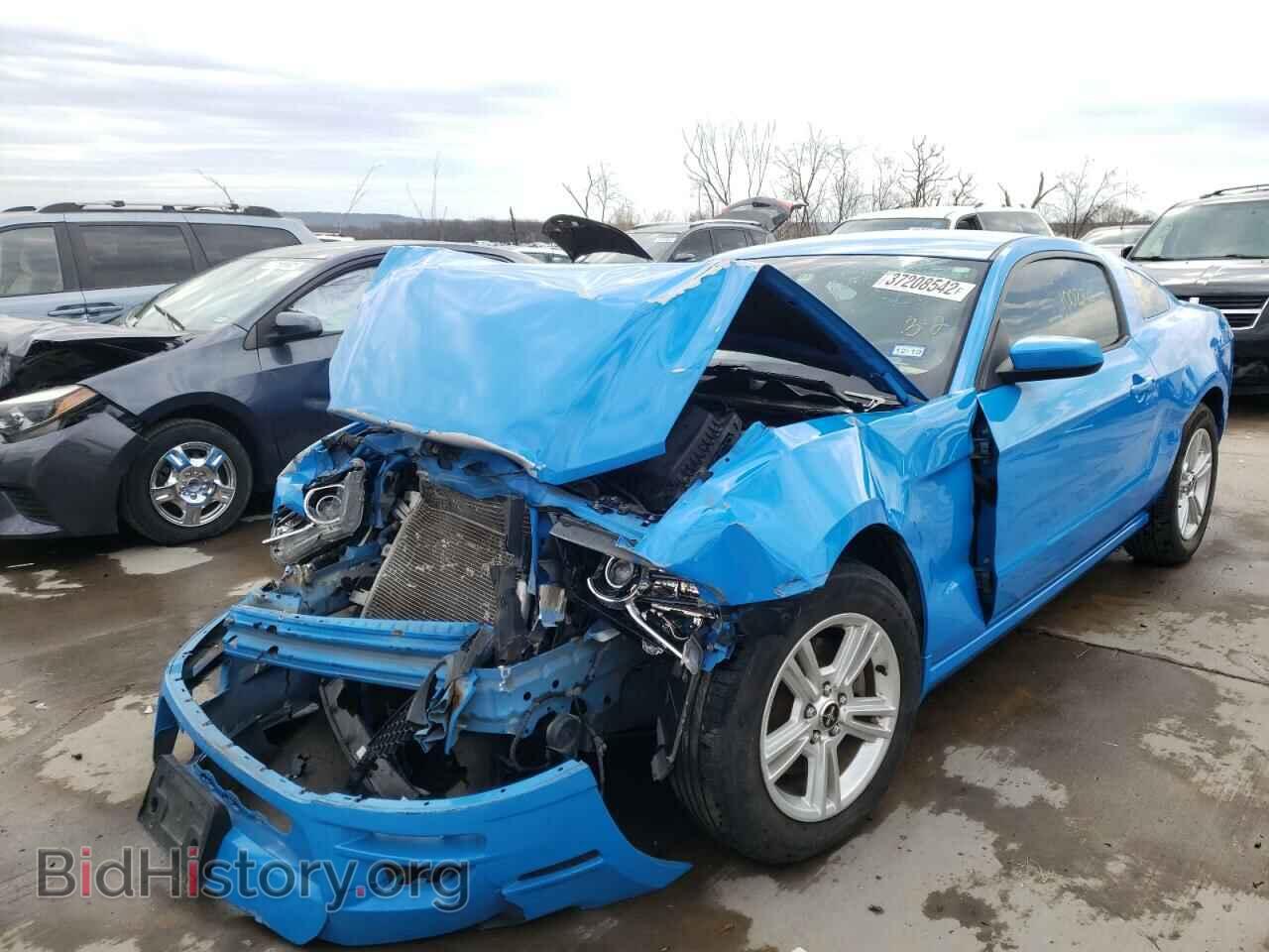 2014 FORD MUSTANG - VIN: 1ZVBP8AM1E5245112 - Фото 2