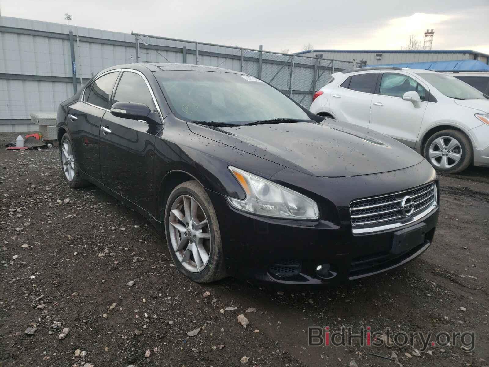 Photo 1N4AA5AP5BC815067 - NISSAN MAXIMA 2011