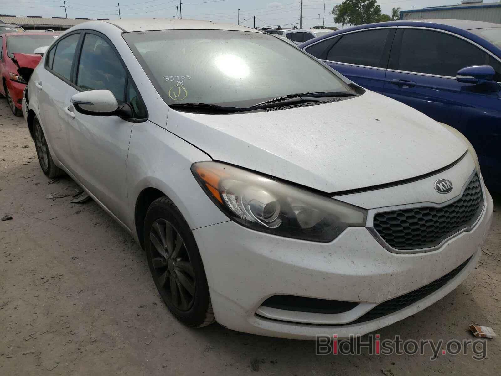 Фотография KNAFX4A60E5134241 - KIA FORTE 2014