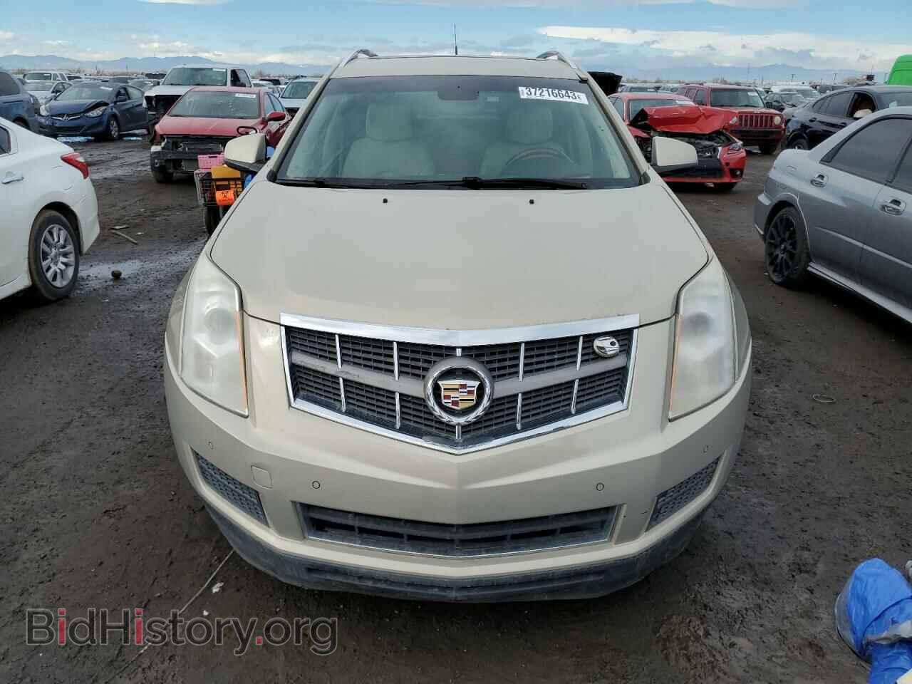 2010 CADILLAC SRX - VIN: 3GYFNDEY7AS557218 - Фото 5