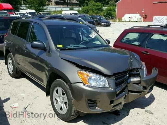 Фотография 2T3BF4DV1CW254577 - TOYOTA RAV4 2012
