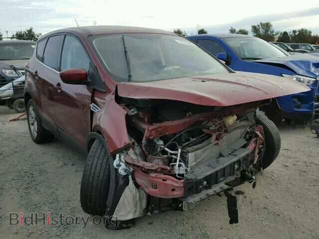 Фотография 1FMCU9G92EUD88399 - FORD ESCAPE 2014