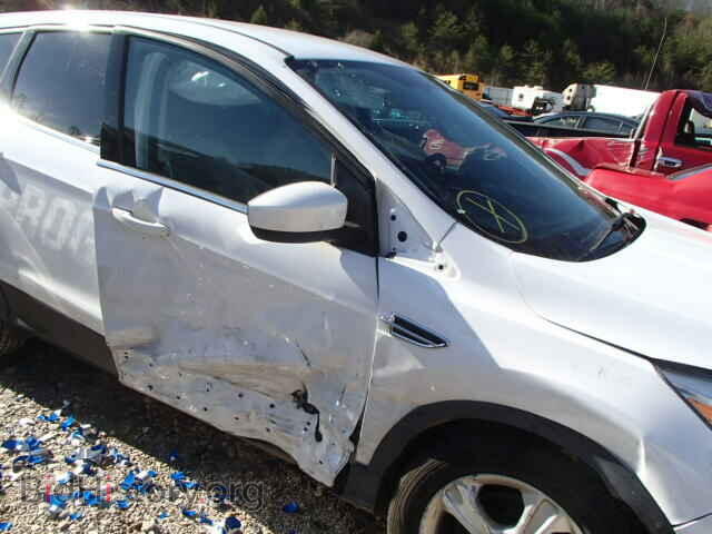 2014 FORD ESCAPE - VIN: 1FMCU9GX2EUC02908 - Фото 10