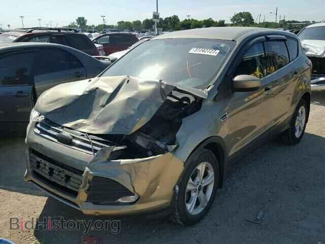 2013 FORD ESCAPE - VIN: 1FMCU0GX5DUD66843 - Фото 2