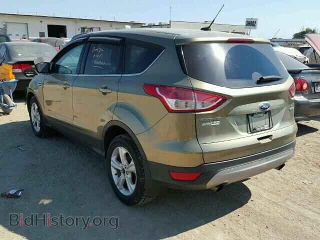2013 FORD ESCAPE - VIN: 1FMCU0GX5DUD66843 - Фото 3