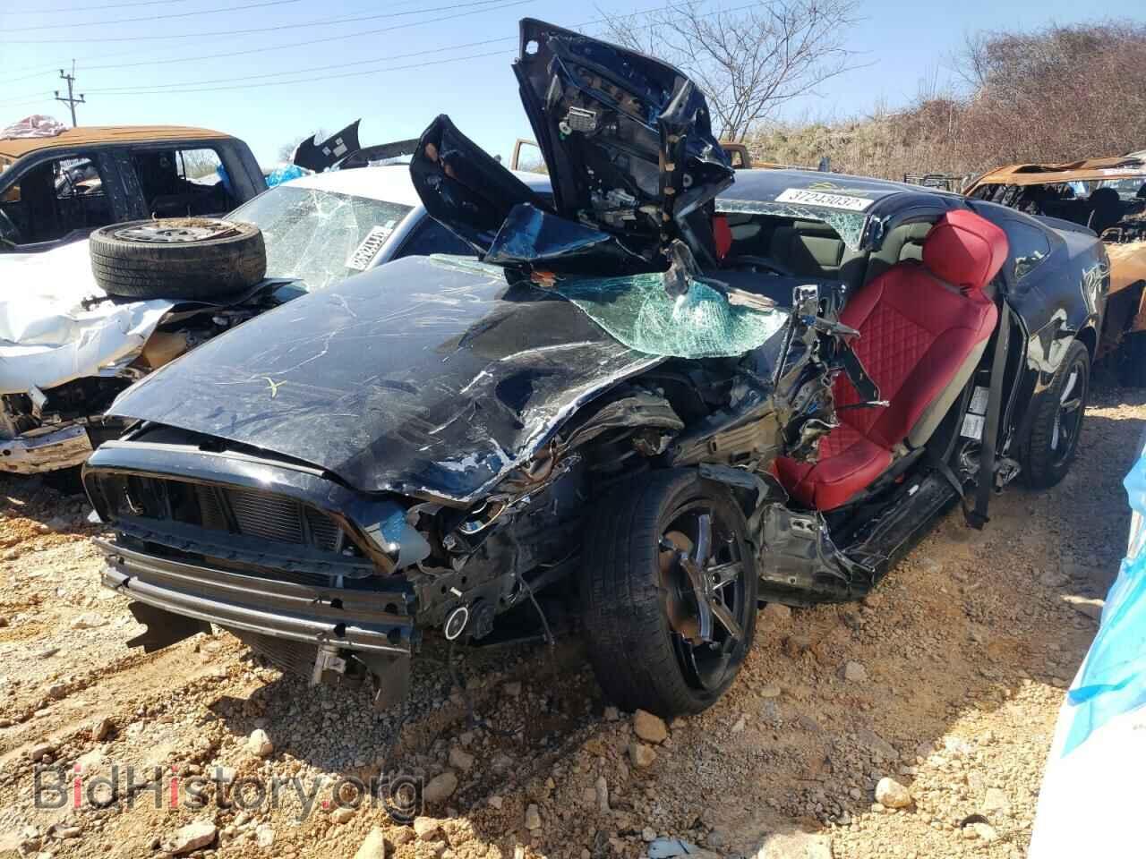 2013 FORD MUSTANG - VIN: 1ZVBP8AM4D5228254 - Фото 2