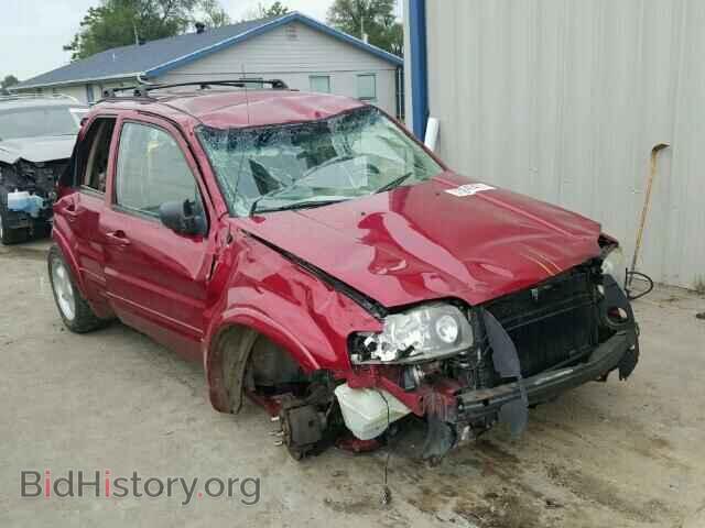 Photo 1FMYU04155KB63504 - FORD ESCAPE 2005