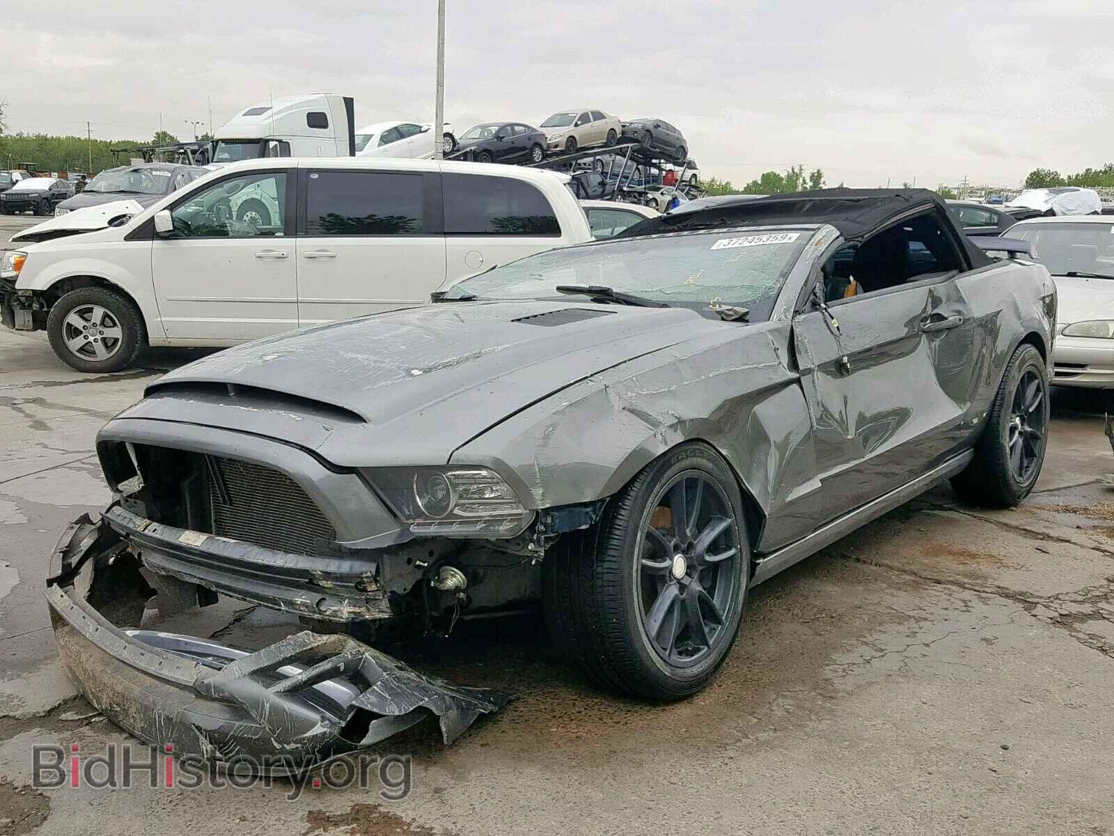 2013 FORD MUSTANG - VIN: 1ZVBP8EM3D5275477 - Фото 2