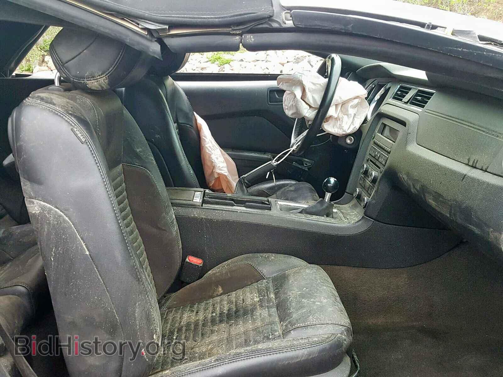 2013 FORD MUSTANG - VIN: 1ZVBP8EM3D5275477 - Фото 5