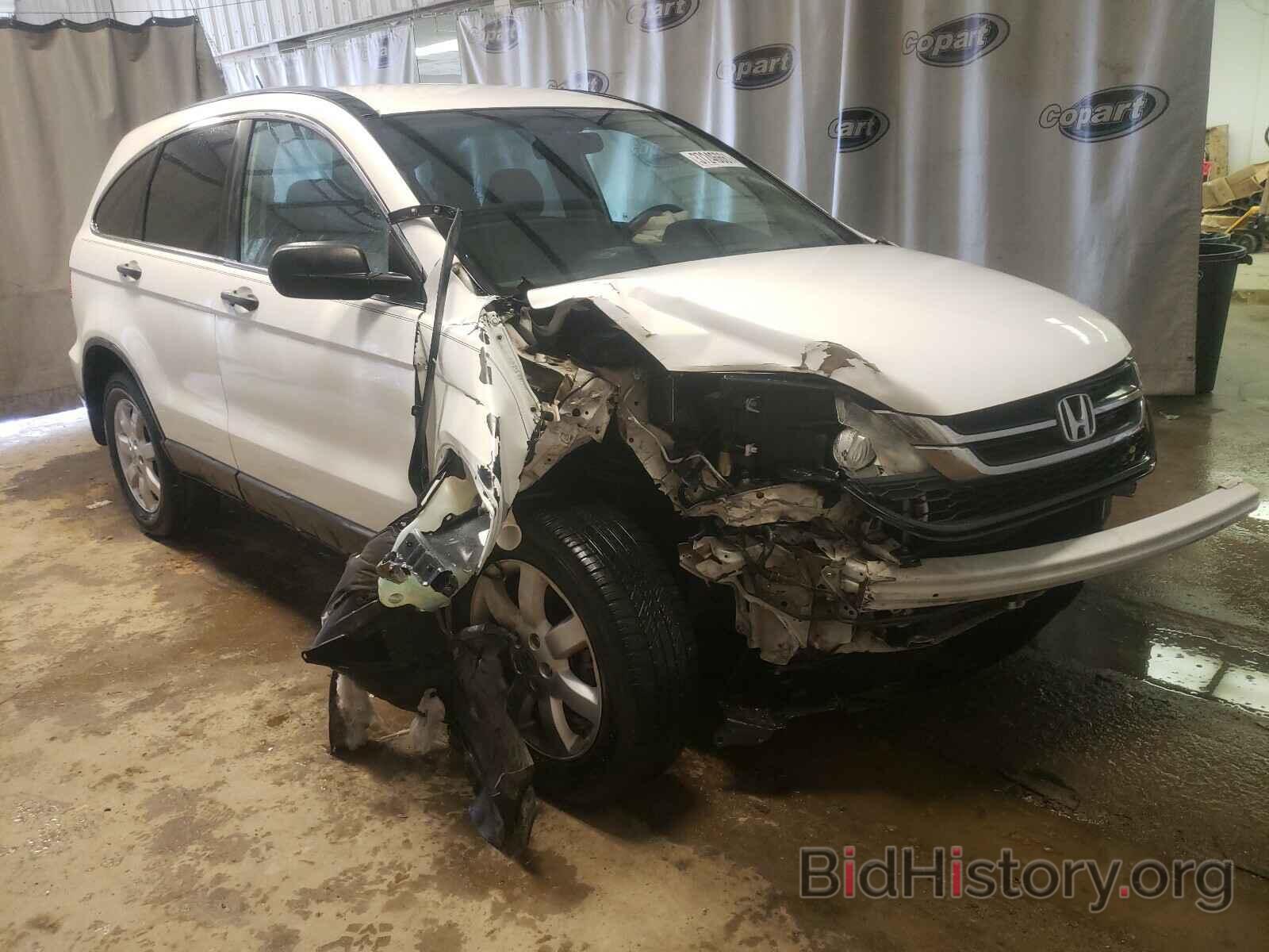 Photo 5J6RE3H43BL013726 - HONDA CRV 2011