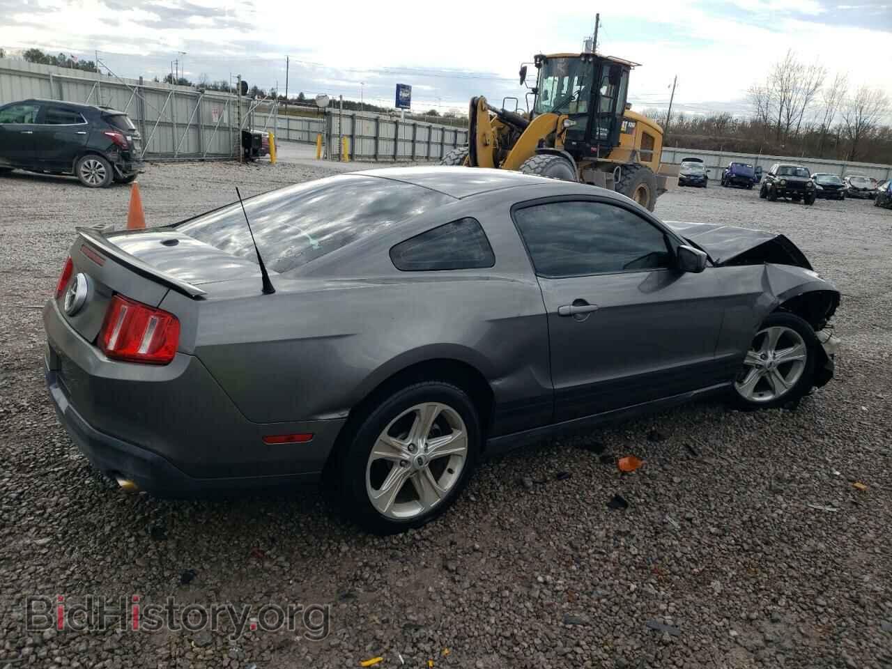 2010 FORD ALL Models - VIN: 1ZVBP8AN8A5153787 - Фото 3