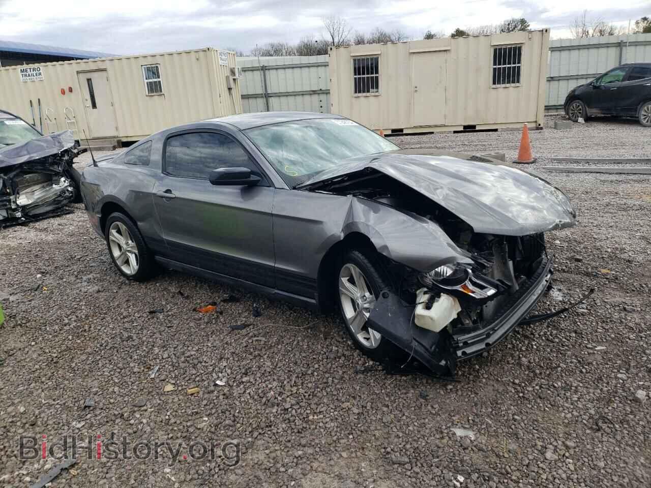 2010 FORD ALL Models - VIN: 1ZVBP8AN8A5153787 - Фото 4
