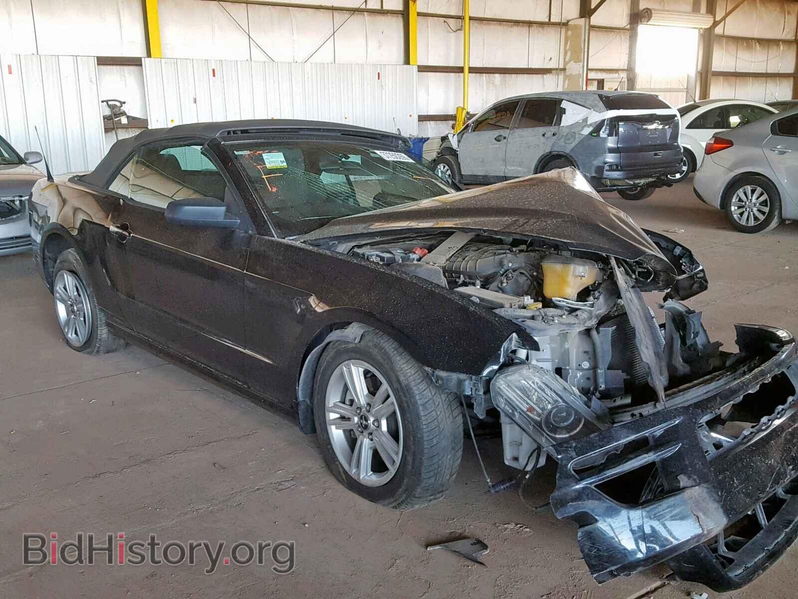 Photo 1ZVBP8EM3E5302176 - FORD MUSTANG 2014