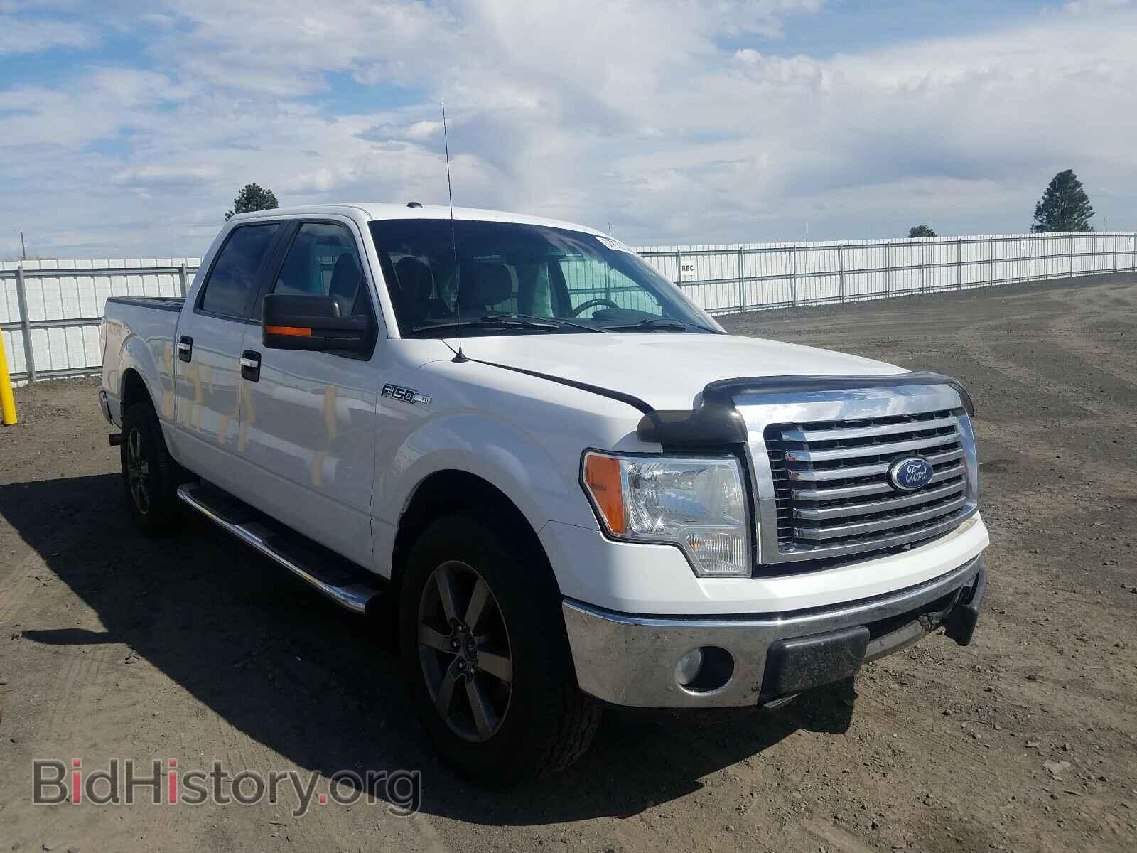 Фотография 1FTFW1EV2AFD68973 - FORD F150 2010