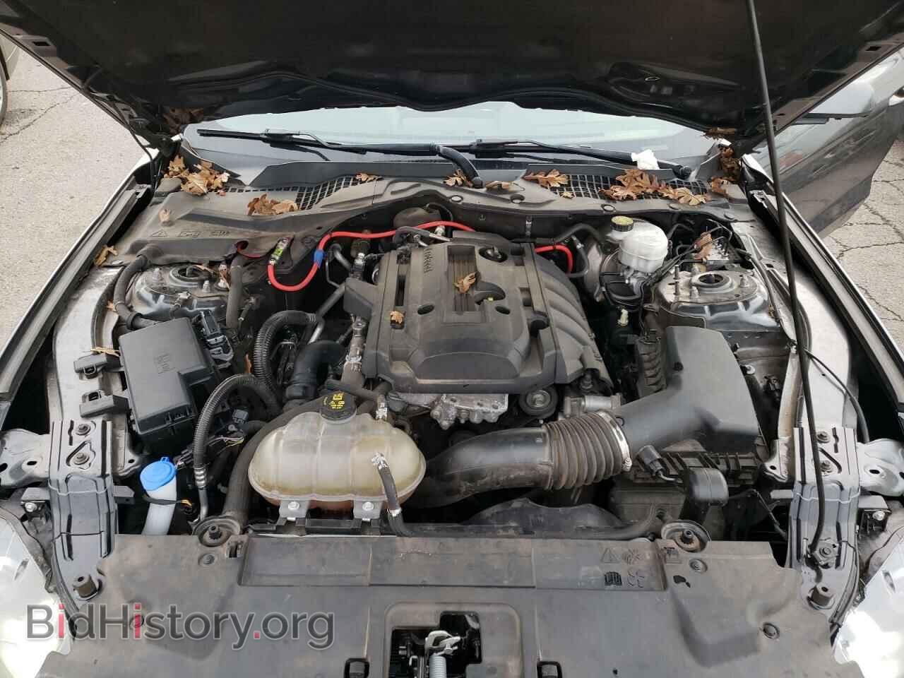 2019 FORD ALL Models - VIN: 1FA6P8TH1K5148496 - Photo 11