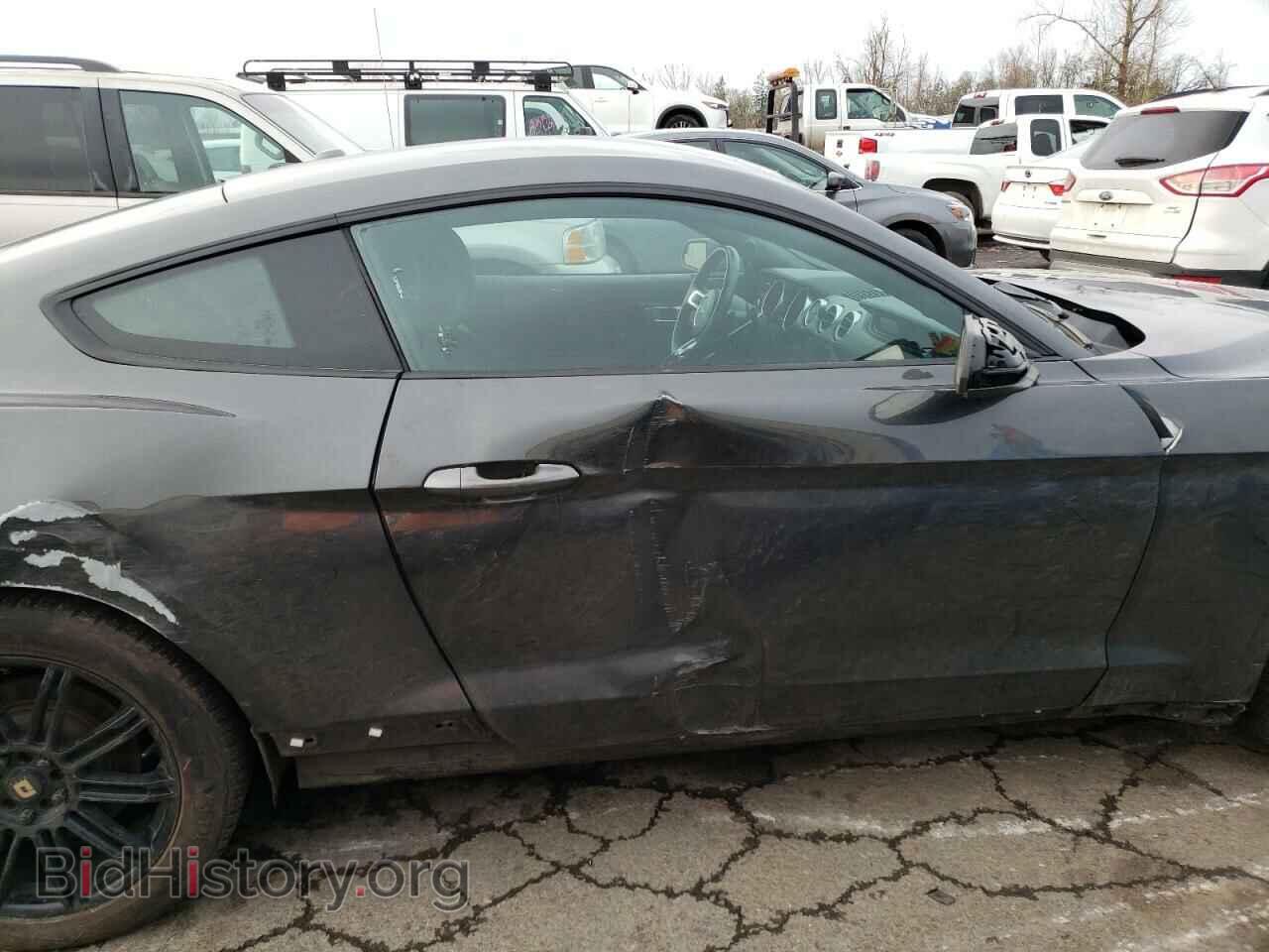 2019 FORD ALL Models - VIN: 1FA6P8TH1K5148496 - Photo 10