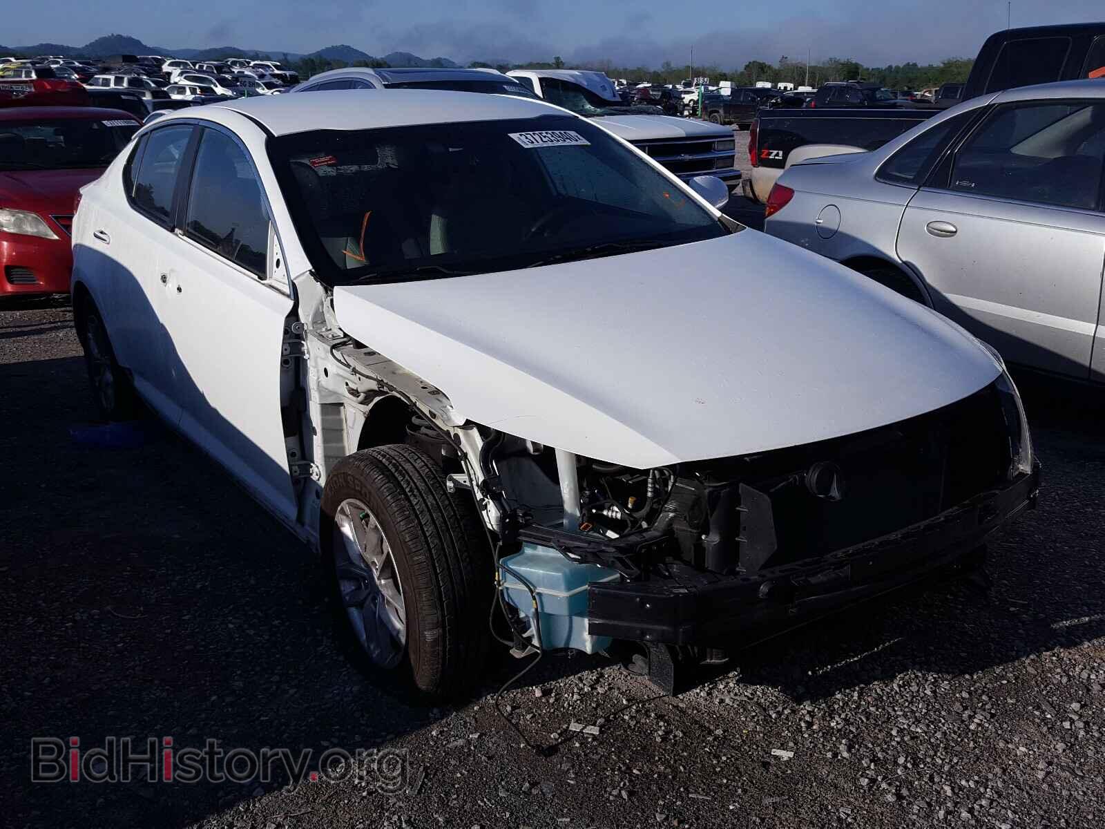 Фотография KNAGM4A71D5402993 - KIA OPTIMA 2013