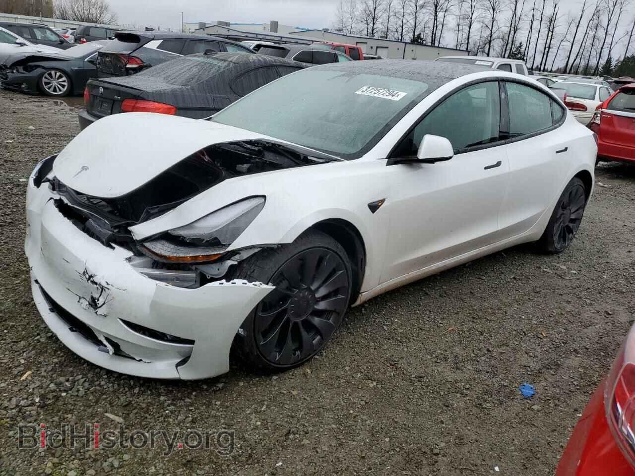 Фотография 5YJ3E1EC0PF490037 - TESLA MODEL 3 2023