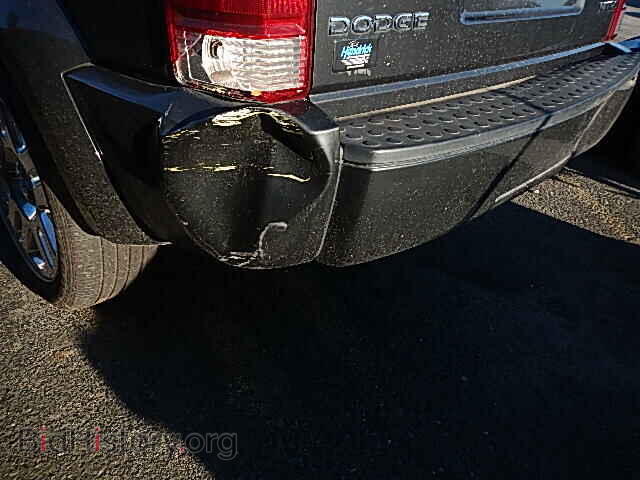 2011 DODGE NITRO - VIN: 1D4PT4GK2BW580875 - Фото 10