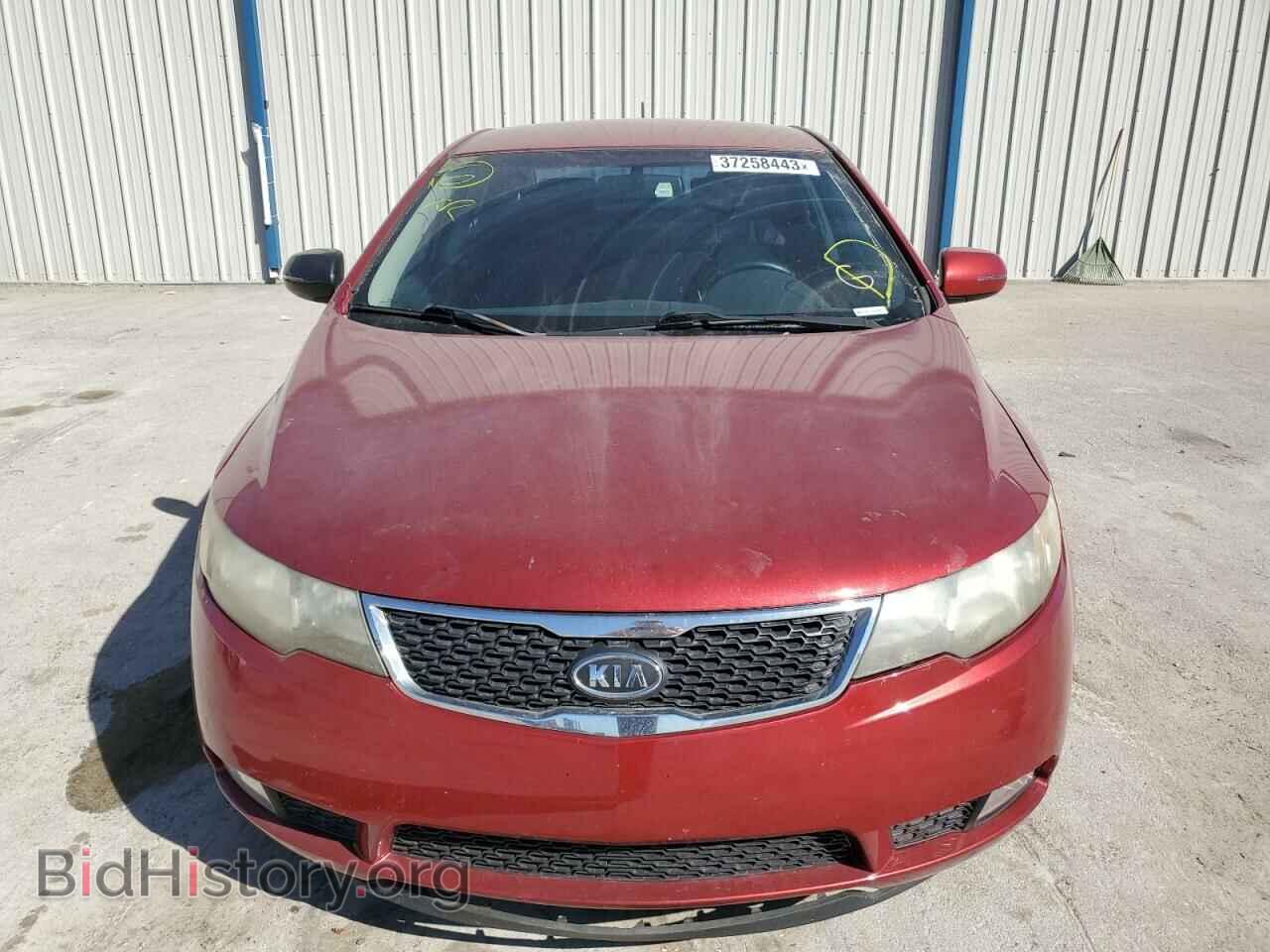 2011 KIA FORTE - VIN: KNAFW4A31B5423830 - Фото 5