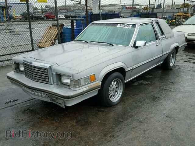 1980 FORD TBIRD - VIN: 0H87F151944 - Фото 2