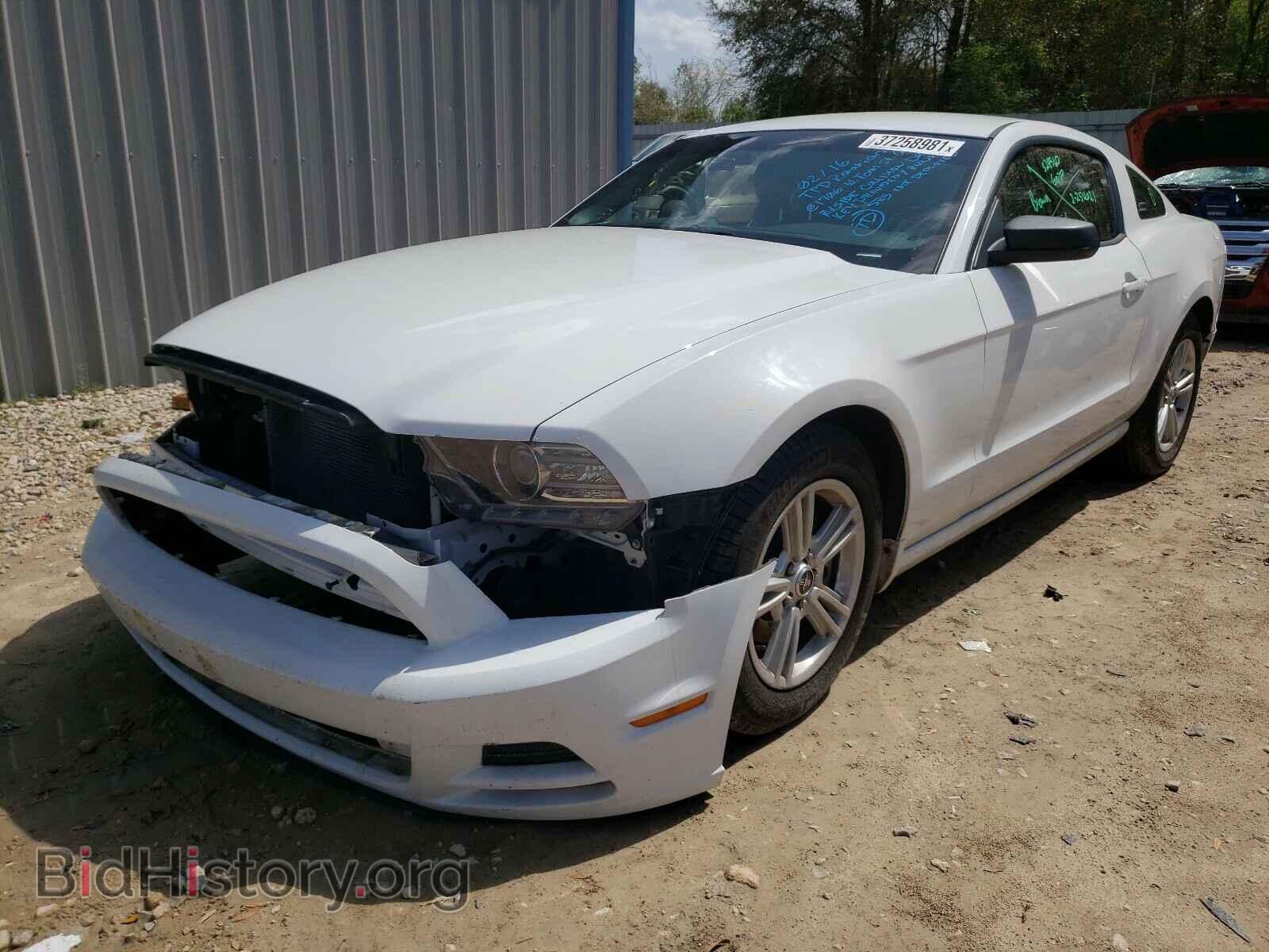 2014 FORD MUSTANG - VIN: 1ZVBP8AM7E5261671 - Фото 2