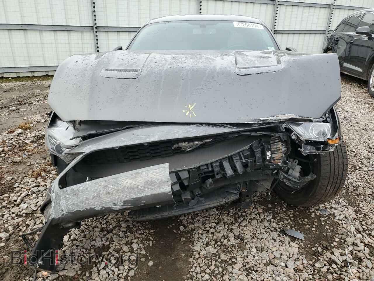 2019 FORD ALL Models - VIN: 1FA6P8TH2K5102501 - Photo 5