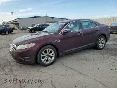 2011 Ford TAURUS Taurus SEL, темно-бордовый — VIN 1FAHP2EW6BG163761, Copart