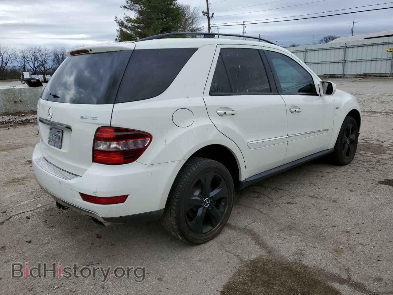 2009 MERCEDES-BENZ M-CLASS - VIN: 4JGBB25E19A496464 - Фото 3