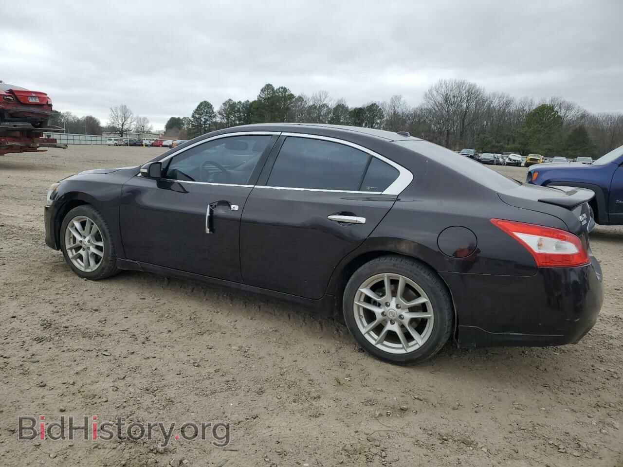 2010 NISSAN MAXIMA - VIN: 1N4AA5AP0AC816738 - Фото 2