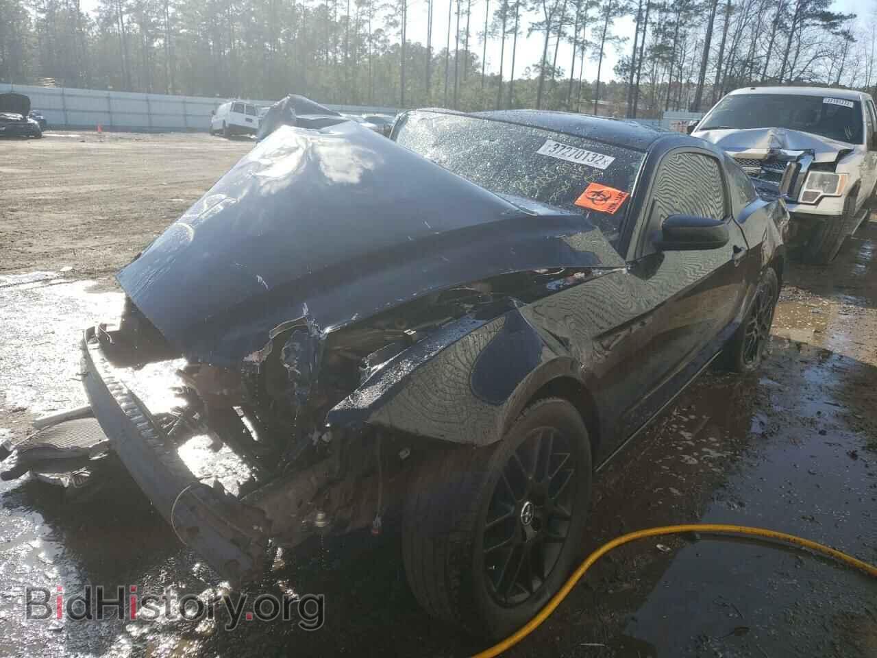 2014 FORD MUSTANG - VIN: 1ZVBP8AM8E5314815 - Фото 2