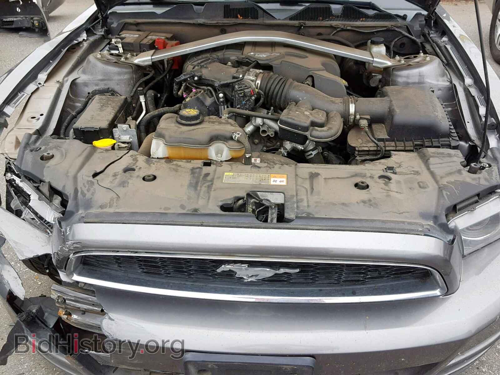 2013 FORD MUSTANG - VIN: 1ZVBP8AM3D5267451 - Фото 7