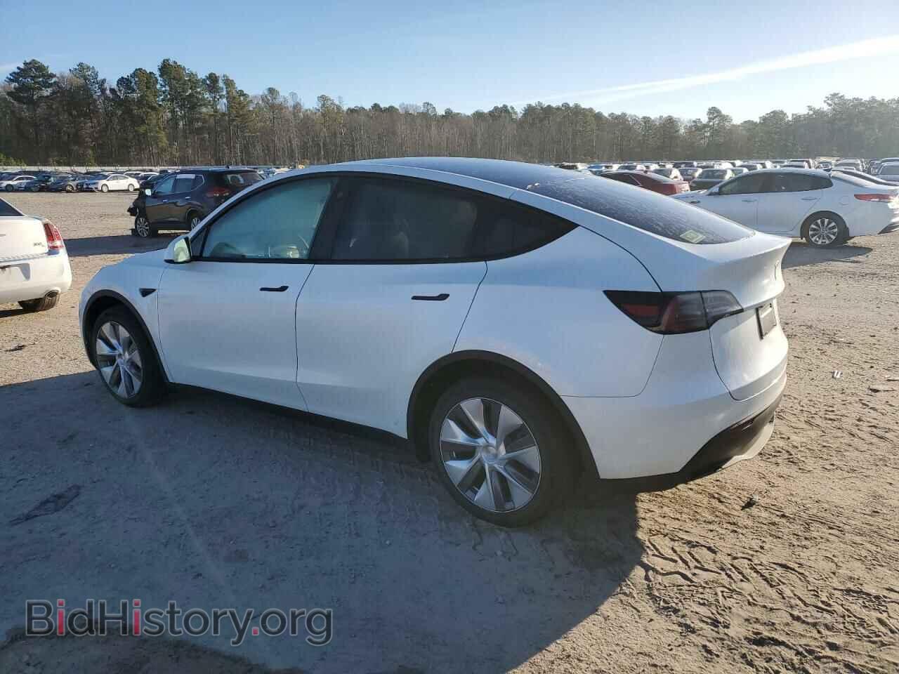 2023 TESLA MODEL Y - VIN: 7SAYGDEE9PA093669 - Фото 2