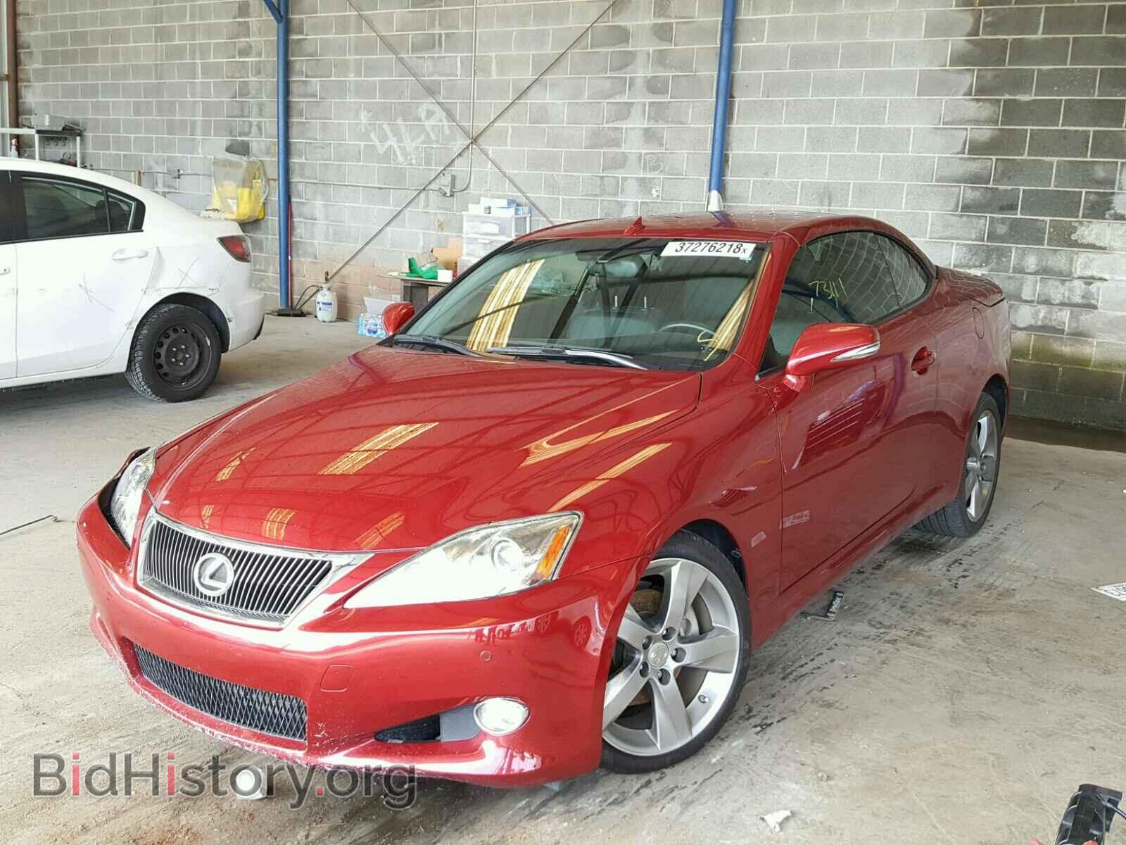 2010 LEXUS IS 250 - VIN: JTHFF2C25A2510818 - Фото 2
